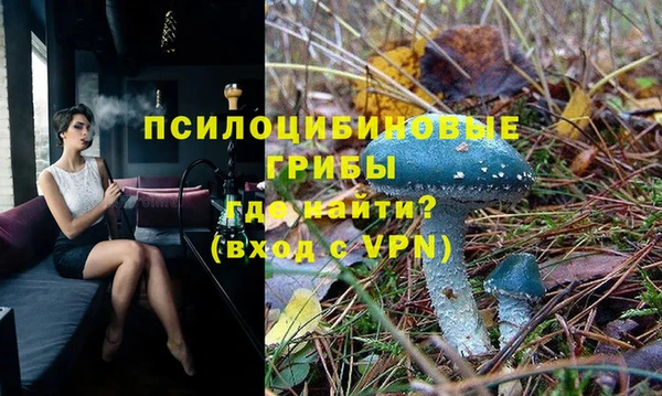 соль курить ск Михайловск